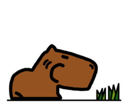 Capyba-kun of the capybara sticker #1898580