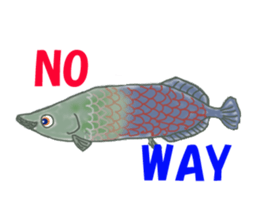 Solt water lure fishing No.2 sticker #1898582