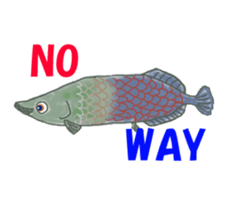 Solt water lure fishing No.2 sticker #1898582