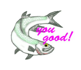 Solt water lure fishing No.2 sticker #1898583