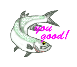 Solt water lure fishing No.2 sticker #1898583