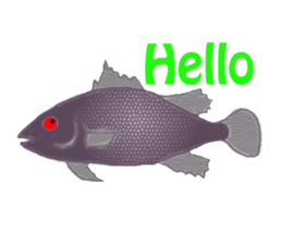 Solt water lure fishing No.2 sticker #1898584