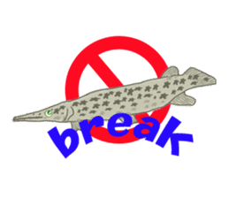 Solt water lure fishing No.2 sticker #1898591