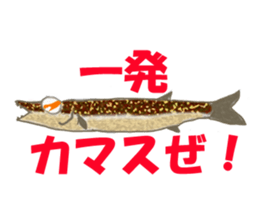 Solt water lure fishing No.2 sticker #1898596