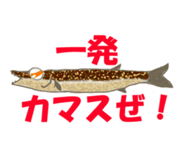 Solt water lure fishing No.2 sticker #1898596