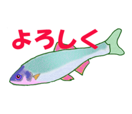 Solt water lure fishing No.2 sticker #1898602