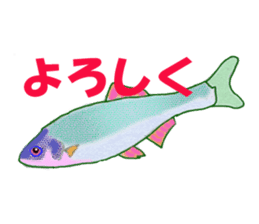 Solt water lure fishing No.2 sticker #1898602