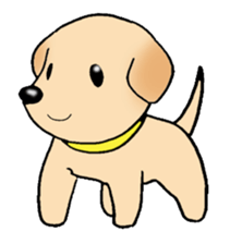 Labrador Retriever's Sticker! sticker #1899622