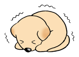 Labrador Retriever's Sticker! sticker #1899625