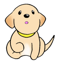 Labrador Retriever's Sticker! sticker #1899627