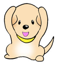 Labrador Retriever's Sticker! sticker #1899628