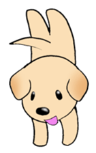 Labrador Retriever's Sticker! sticker #1899629