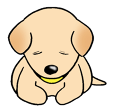 Labrador Retriever's Sticker! sticker #1899631