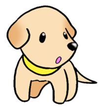 Labrador Retriever's Sticker! sticker #1899637