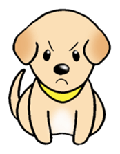 Labrador Retriever's Sticker! sticker #1899638