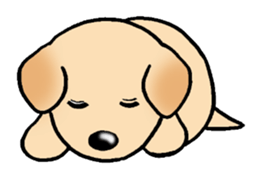 Labrador Retriever's Sticker! sticker #1899639