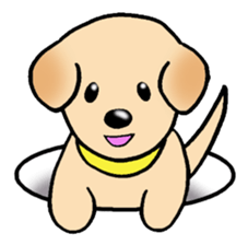 Labrador Retriever's Sticker! sticker #1899645