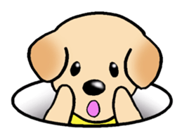 Labrador Retriever's Sticker! sticker #1899646
