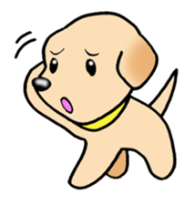 Labrador Retriever's Sticker! sticker #1899651