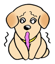 Labrador Retriever's Sticker! sticker #1899652