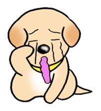 Labrador Retriever's Sticker! sticker #1899656