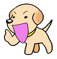 Labrador Retriever's Sticker! sticker #1899657