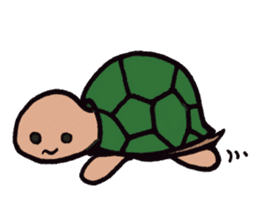An ordinary days of an ordinary turtle. sticker #1900092