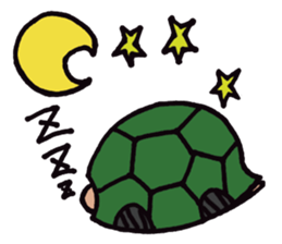 An ordinary days of an ordinary turtle. sticker #1900093