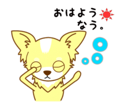 Now chihuahua sticker #1900301