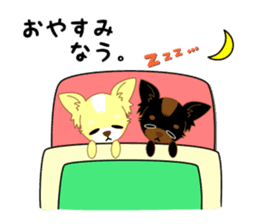 Now chihuahua sticker #1900302