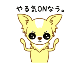 Now chihuahua sticker #1900303