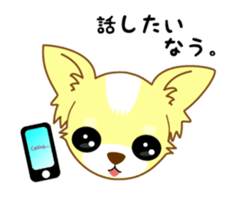 Now chihuahua sticker #1900307