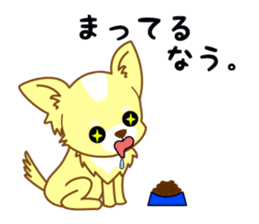 Now chihuahua sticker #1900308