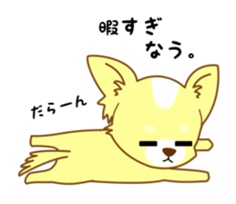 Now chihuahua sticker #1900309