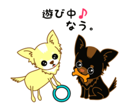 Now chihuahua sticker #1900311