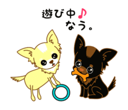 Now chihuahua sticker #1900311
