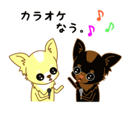 Now chihuahua sticker #1900312