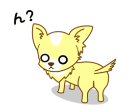 Now chihuahua sticker #1900313