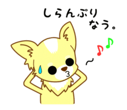 Now chihuahua sticker #1900314