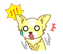 Now chihuahua sticker #1900318