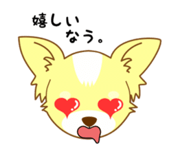 Now chihuahua sticker #1900324