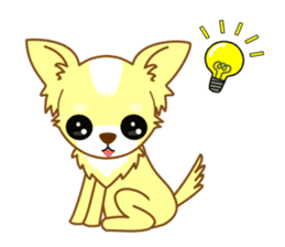 Now chihuahua sticker #1900325