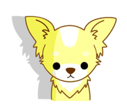 Now chihuahua sticker #1900326