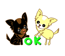 Now chihuahua sticker #1900329