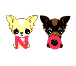 Now chihuahua sticker #1900330