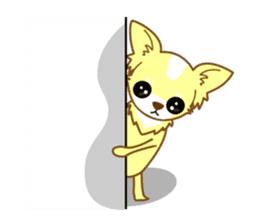 Now chihuahua sticker #1900331