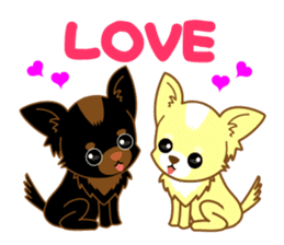 Now chihuahua sticker #1900337