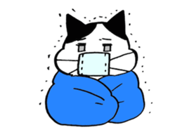 It is Nekonu- of the cat. sticker #1902848