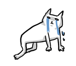 Unpleasant cat sticker #1902999