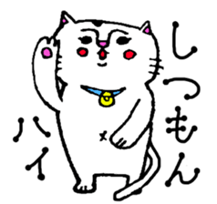 cat natchan sticker #1903378